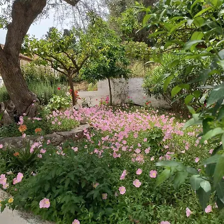 Aparthotel Valedina Nikiana