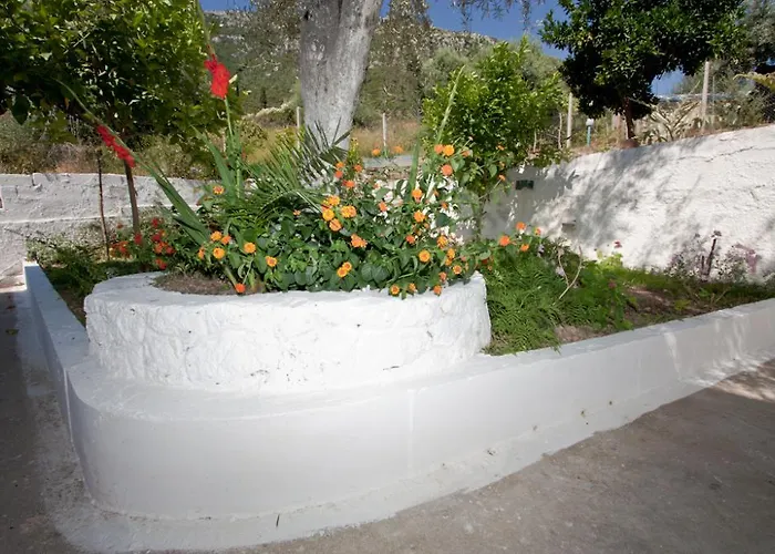 Valedina 3* Никиана