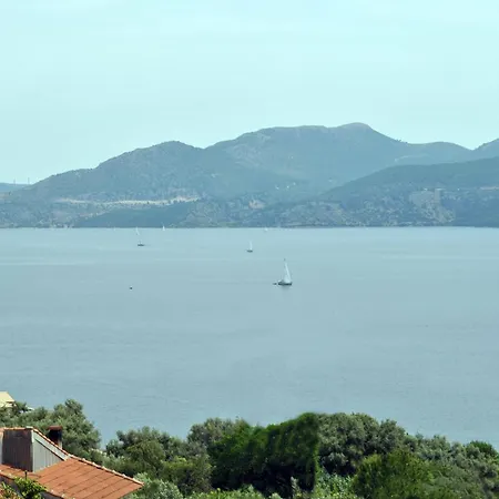 Valedina Νικιάνα