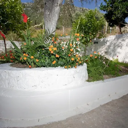 Valedina * Νικιάνα