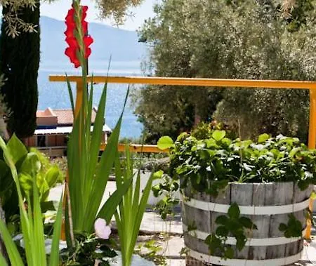 Valedina * Νικιάνα